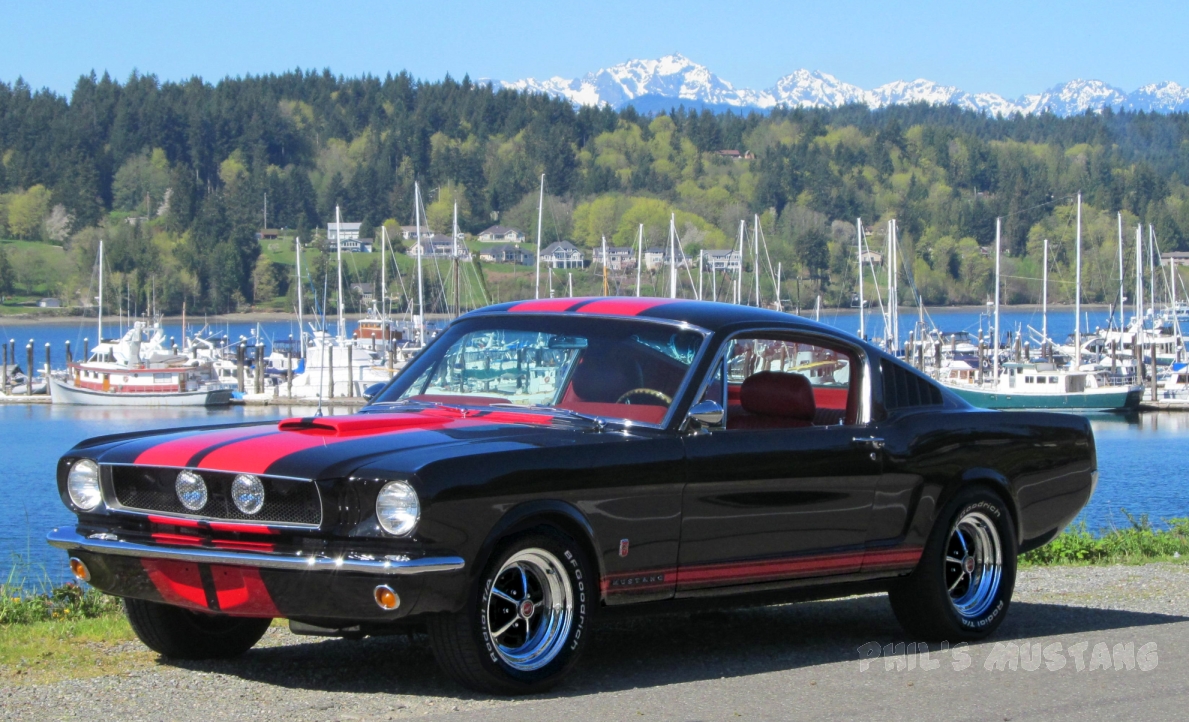 Phil's 1965 Mustang GT A-Code Fastback Raven Black with Red Pony ...